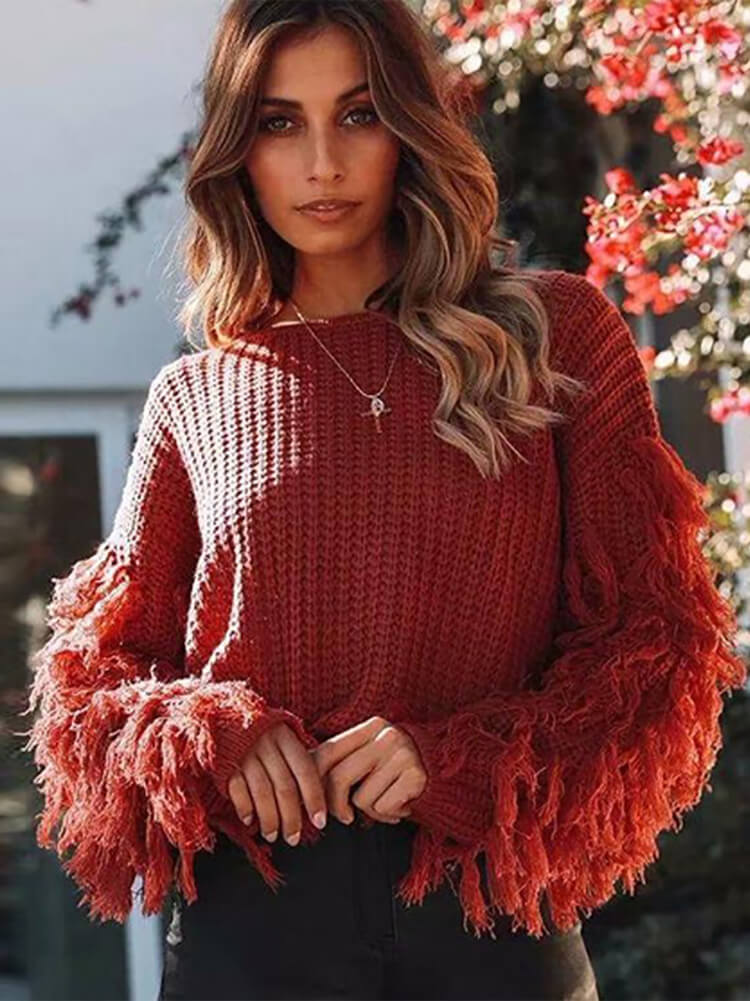 Knit Long Sleeve Tassel Bodycon Sweater