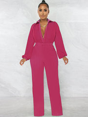 Chiffon Long Sleeves Mesh Jumpsuits