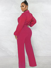 Chiffon Long Sleeves Mesh Jumpsuits