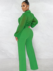 Chiffon Long Sleeves Mesh Jumpsuits