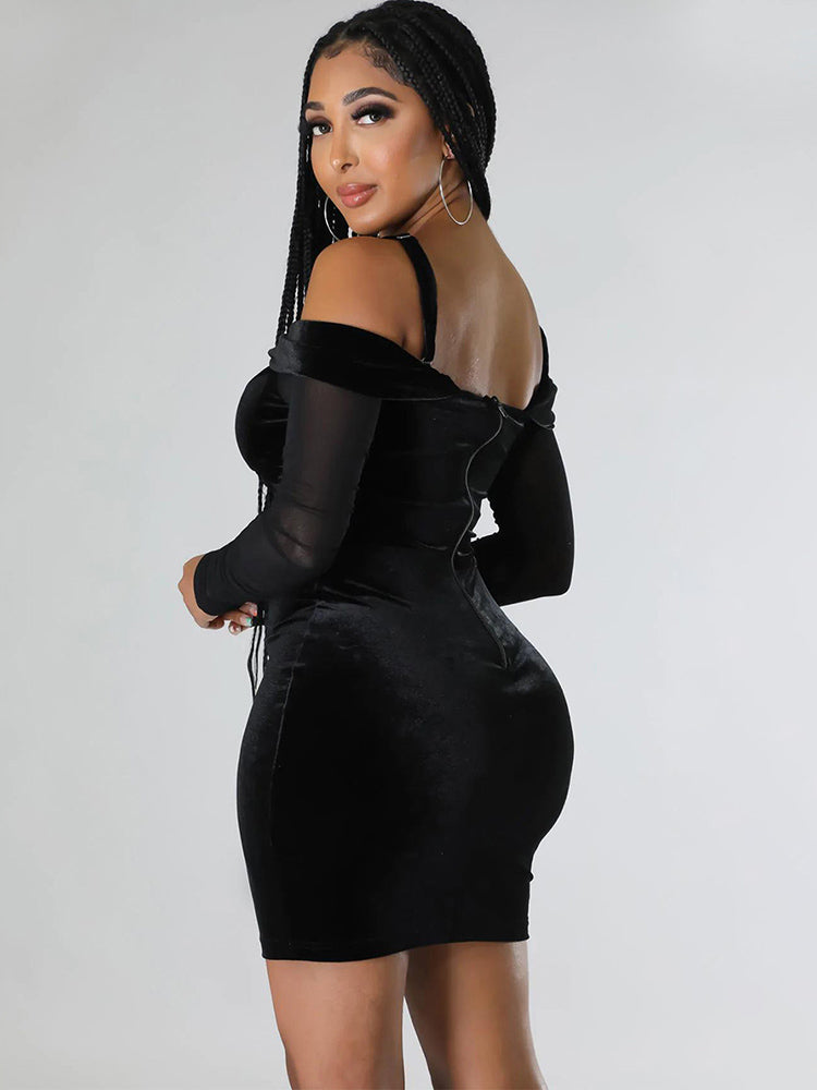 Off Shoulder Mesh Long Sleeve Mini Dress